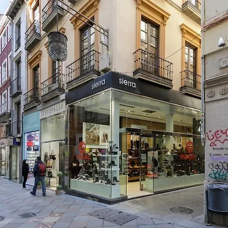 Centrico Apto Cerca De La Catedral Zacatin Granada